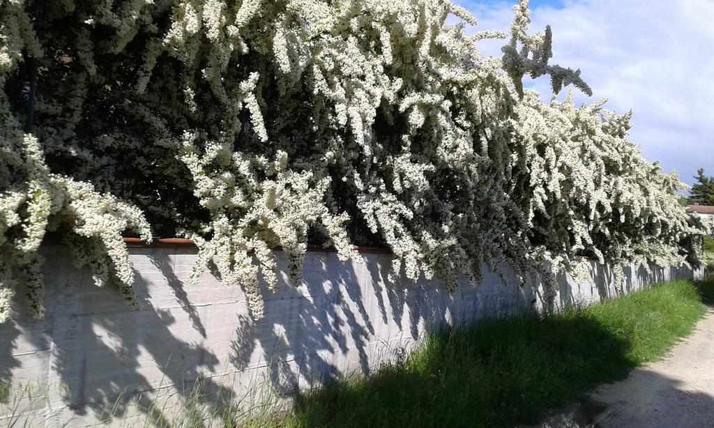 Agriturismo Cardito Santa Rufina 외부 사진