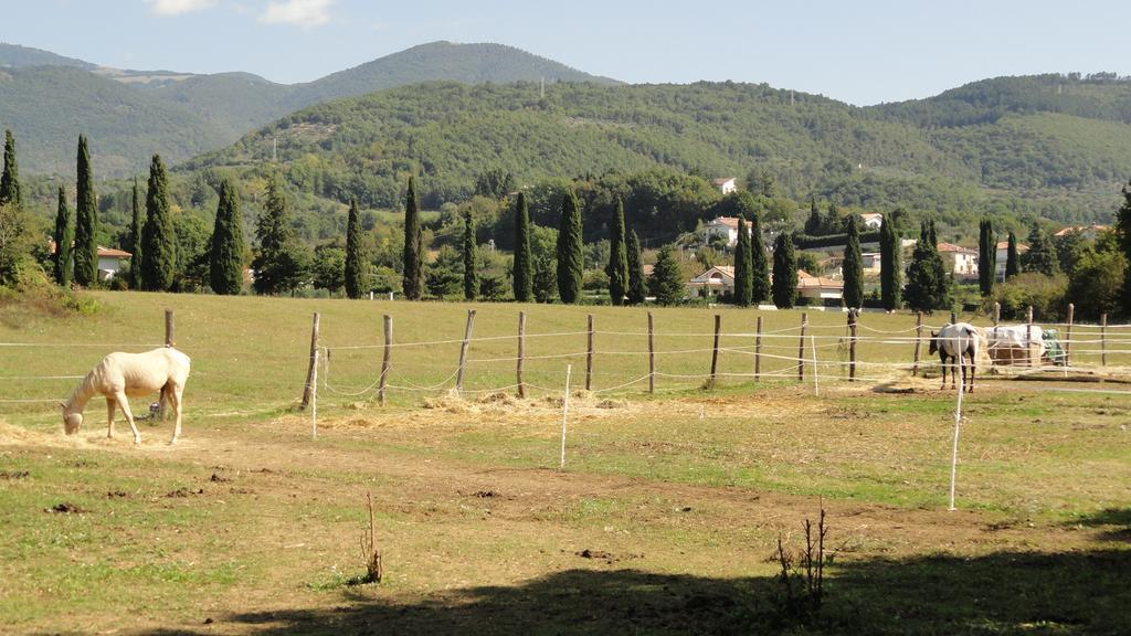 Agriturismo Cardito Santa Rufina 외부 사진