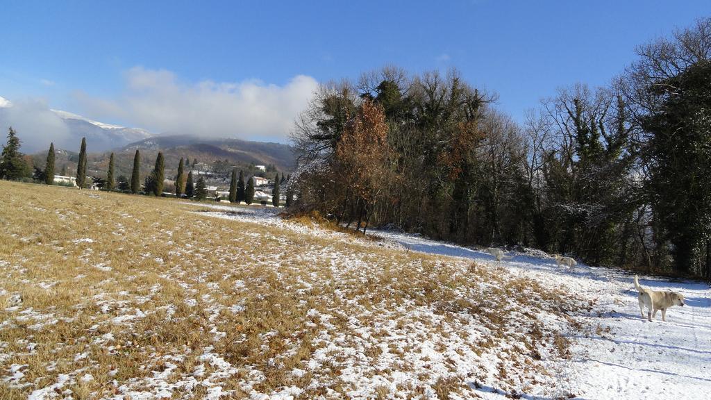 Agriturismo Cardito Santa Rufina 외부 사진
