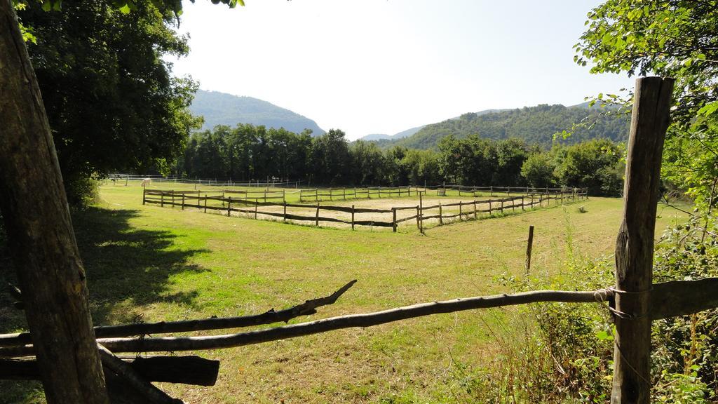 Agriturismo Cardito Santa Rufina 외부 사진