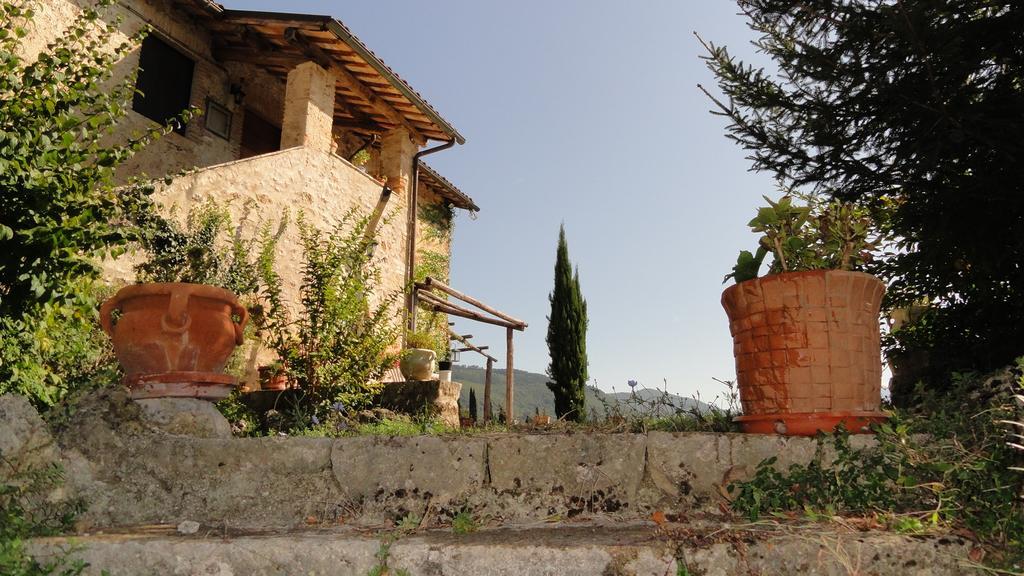Agriturismo Cardito Santa Rufina 외부 사진