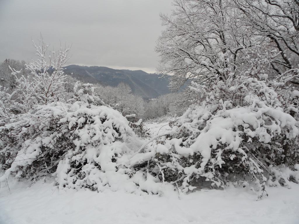 Agriturismo Cardito Santa Rufina 외부 사진