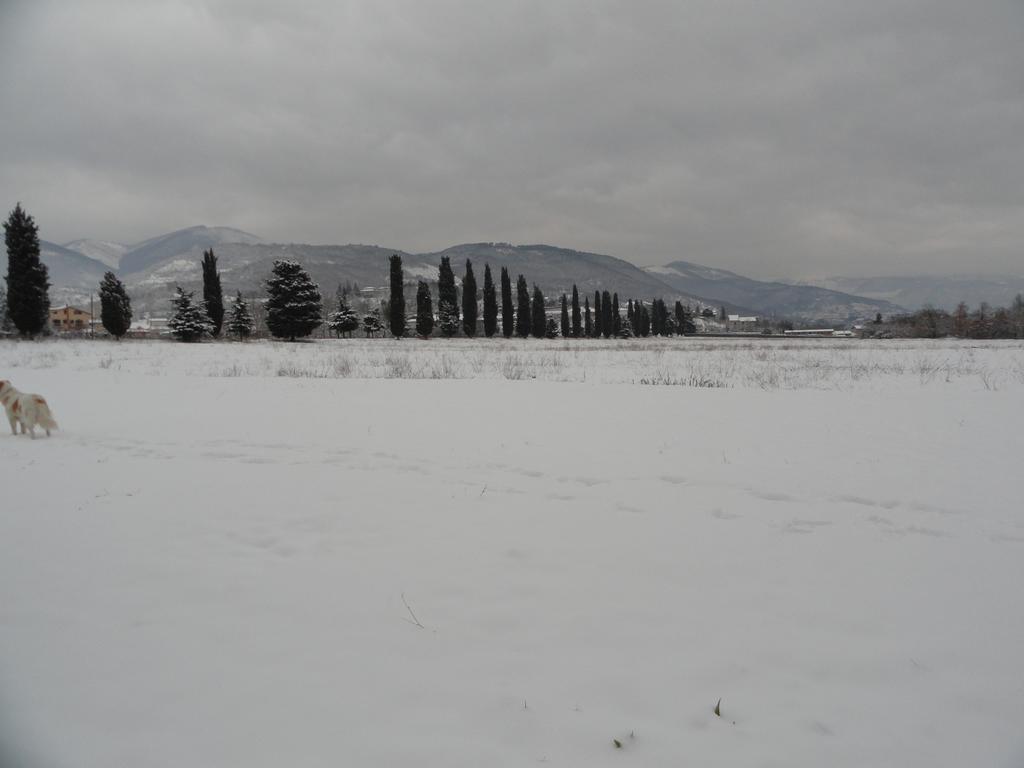 Agriturismo Cardito Santa Rufina 외부 사진